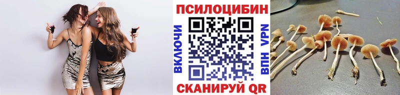 Псилоцибиновые грибы мицелий mega рабочий сайт Покров